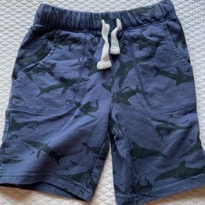 Size 6 Navy Shark Knit Shorts